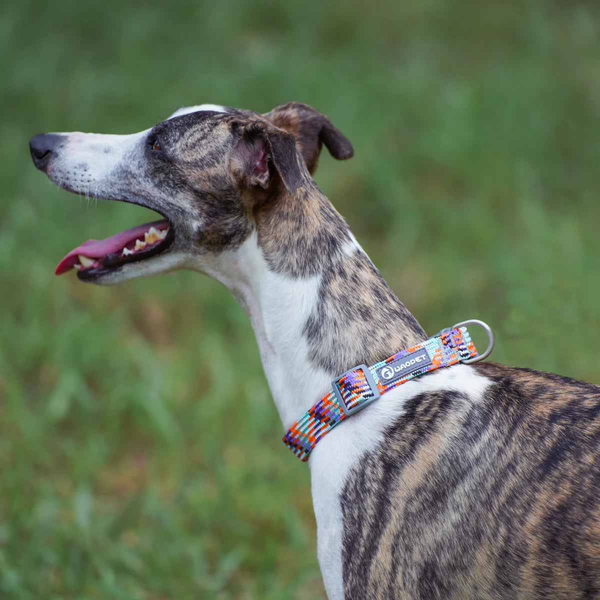 Waopet - Reflecterende Multicolor Halsband